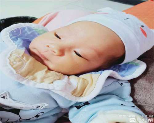 供卵群_上海供卵生出来的孩子什么血型_上海试管婴儿分为几个步骤？会不会很