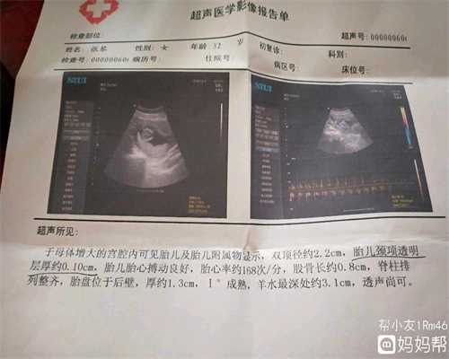 上海供卵 哪个医院_泰国供卵试管成功率_去泰国做试管婴儿要求带什么手续