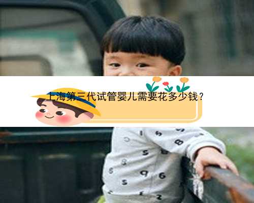 上海第三代试管婴儿需要花多少钱？