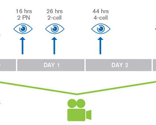 人们不应盲目偏信试管婴儿而忽视治疗