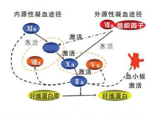 吉林供卵试管可以包成功吗,吉林大学吉林医院生殖科做三代试管可以查性别选男宝吗？