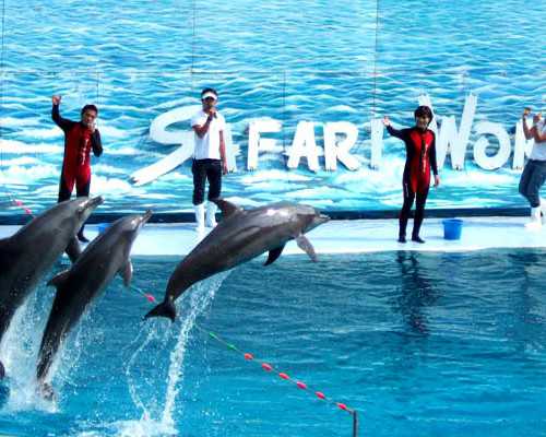 吉林试管中介怎么选择_吉林省试管婴儿定点医院！