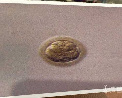 输卵管粘连都要做手术吗