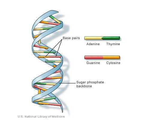 吉林省人民医院？吉林省人民医院试管婴儿经验