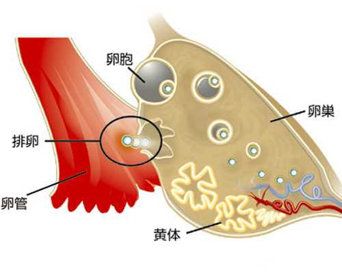吉林试管中介受骗,吉林市试管婴儿多少钱！