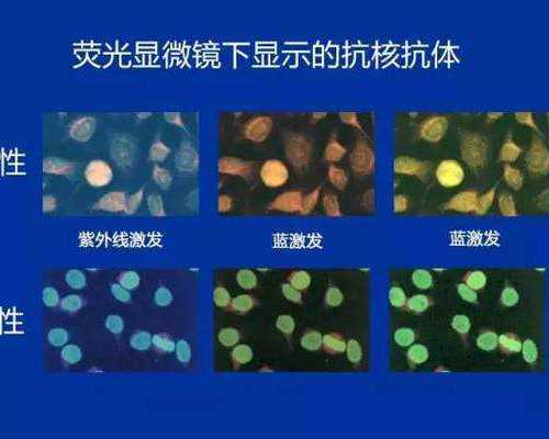 第六天囊胚未着床是否正常