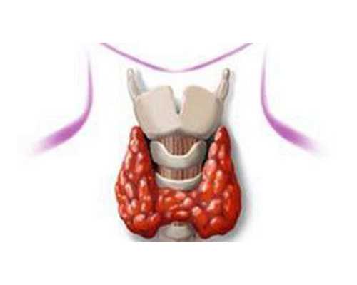 吉林大学第二医院可以做三代试管吗，技术水平如何？