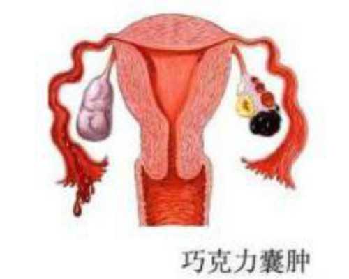 吉林供卵费用多少钱,吉林试管婴儿费用是多少呢