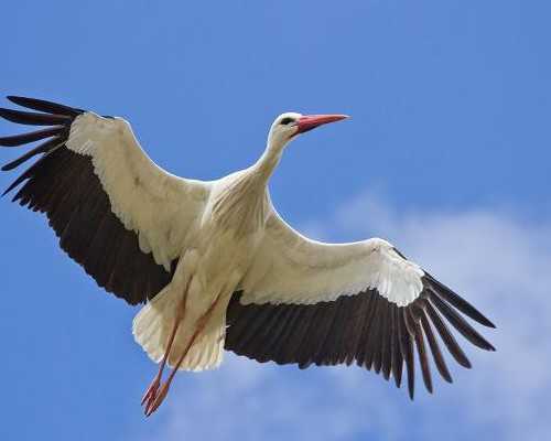 「吉林省三代试管」吉林三代试管包生男孩费用