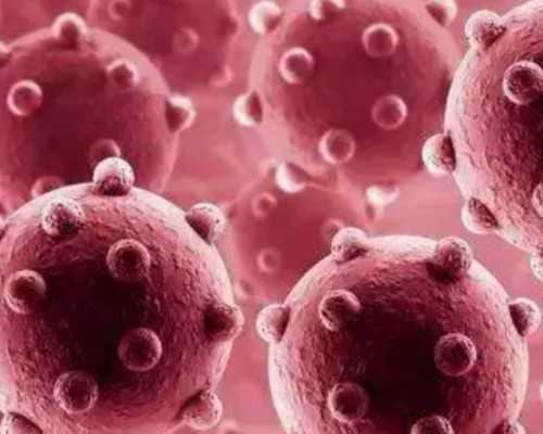 2023吉林试管公司排名,吉林有做试管中介的公司吗？?