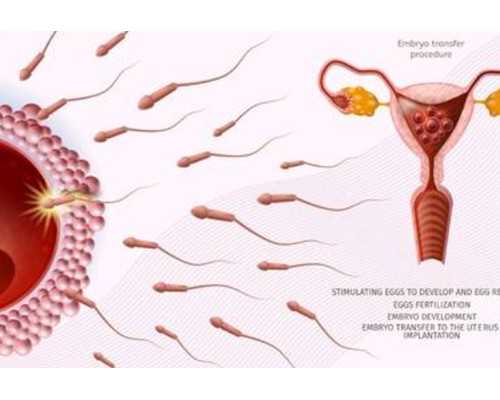 吉林试管费用大概多少钱啊？,吉林冻卵费用是多少？