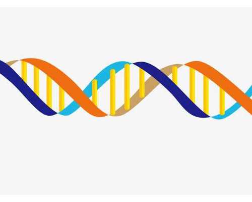 吉林做人工授精多少钱一次[吉林做人工授精费用]